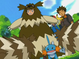 Zigzagoon
