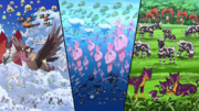 P14 Versión Negra Pokémon en el agua, tierra, y cielo.png