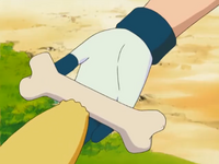 Palo grueso/Hueso grueso en el anime.