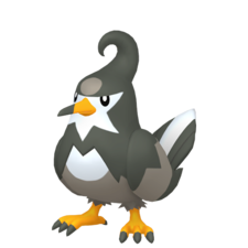 Staravia hembra