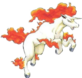 Rapidash