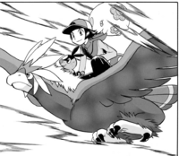 Brav usando vuelo.