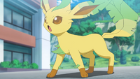 Leafeon de Gama.