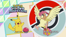 Pidgeotto.