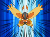 Mothim