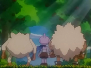 EP235 Primeape, Mankey y Tyrogue (2).png