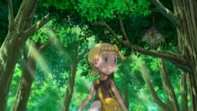 Wormadam