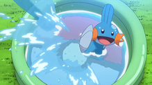Mudkip