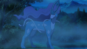 P20 Suicune.png