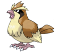 Pidgey