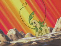 Bayleef usando látigo cepa.