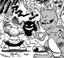Gengar en PPM002