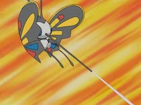 Beautifly usando disparo demora.