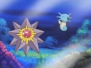 EH02 Horsea y Starmie en el acuario.jpg