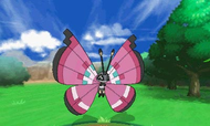 Vivillon, nuevo Pokémon de tipo bicho/volador, evolución de Spewpa.