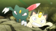 EP894 Sneasel y Meowth.png