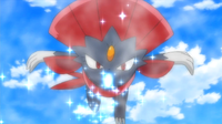 Weavile de Melia usando viento hielo.