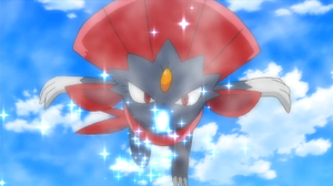 Weavile de Mable/Melia usando Viento Helado/Viento Hielo.