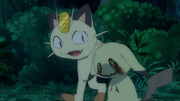 EP1089 Meowth intentando animar a Mimikyu.png