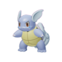 Wartortle UNITE.png