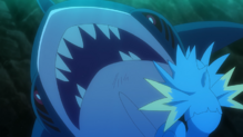 Sharpedo
