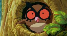Hoothoot