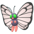 Imagen de Butterfree variocolor macho en Pokémon Diamante Brillante y Pokémon Perla Reluciente