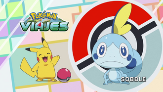 Sobble.