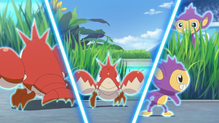 Aipom