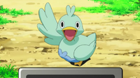 EP680 Ducklett.png