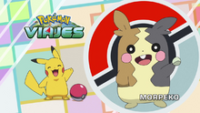 Morpeko.