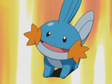 Mudkip