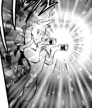 Rapidash de Platinum/Platino usando Protección.