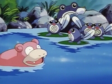 Slowpoke