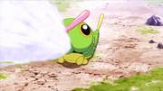 GEN01 Caterpie usando disparo demora.png