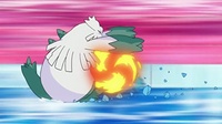 Chimchar de Ash usando rueda fuego.