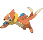 Buizel
