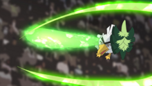 Sirfetch’d de Ash usando corte furia.