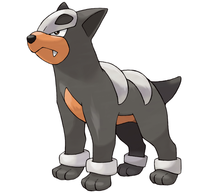 Houndour WikiDex, la enciclopedia Pokémon