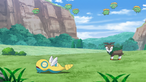 Skiploom