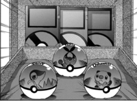 Tepig, Snivy y Oshawott en la saga Negro y Blanco.