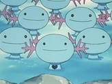 Wooper