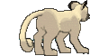 Imagen posterior de Persian en Pokémon X, Pokémon Y, Pokémon Rubí Omega, Pokémon Zafiro Alfa, Pokémon Sol, Pokémon Luna, Pokémon Ultrasol y Pokémon Ultraluna