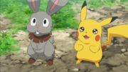 EP875 Bunnelby y Pikachu.png