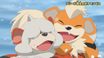 Growlithe