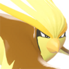 Icono de Pidgeot variocolor en Leyendas Pokémon: Z-A
