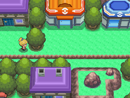 Zona Sobrevivir en Pokémon Diamante y Perla.