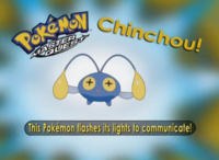 ¿Quién es ese Pokémon?/¿Cuál es este Pokémon?.