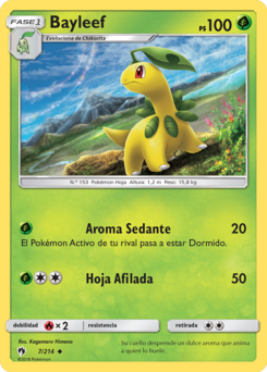 Carta de Bayleef