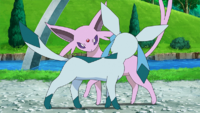 EP1138 Espeon y Glaceon.png